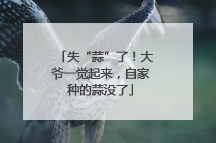 失“蒜”了！大爷一觉起来，自家种的蒜没了