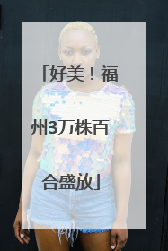 好美！福州3万株百合盛放