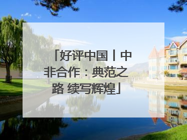好评中国丨中非合作：典范之路 续写辉煌