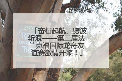 奋楫起航、劈波斩浪——第二届法兰克福国际龙舟友谊赛激情开桨！