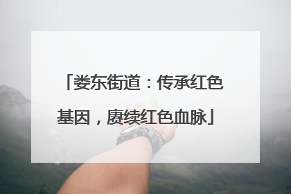 娄东街道：传承红色基因，赓续红色血脉
