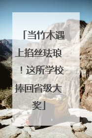 当竹木遇上掐丝珐琅！这所学校捧回省级大奖