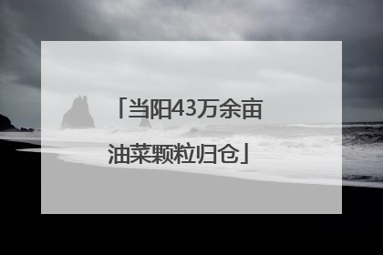 当阳43万余亩油菜颗粒归仓