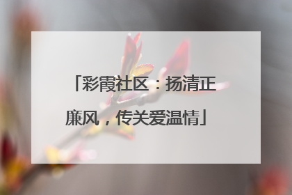 彩霞社区：扬清正廉风，传关爱温情