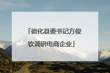 德化县委书记方俊钦调研电商企业
