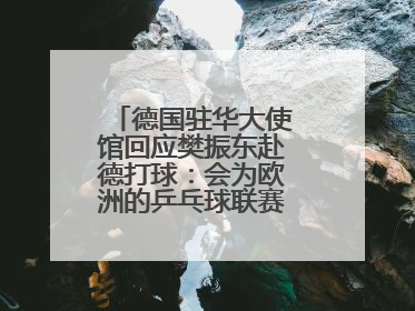 德国驻华大使馆回应樊振东赴德打球：会为欧洲的乒乓球联赛带来新的光彩