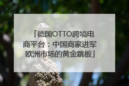 德国OTTO跨境电商平台：中国商家进军欧洲市场的黄金跳板