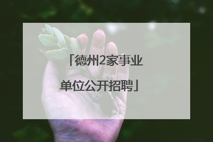 德州2家事业单位公开招聘