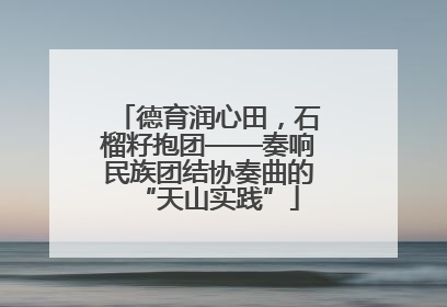 德育润心田，石榴籽抱团——奏响民族团结协奏曲的“天山实践”