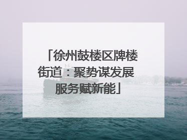 徐州鼓楼区牌楼街道：聚势谋发展 服务赋新能