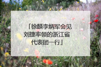徐麟李炳军会见刘捷率领的浙江省代表团一行