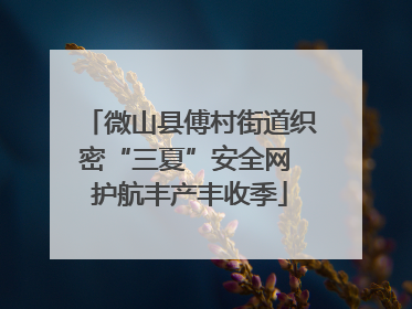 微山县傅村街道织密“三夏”安全网 护航丰产丰收季