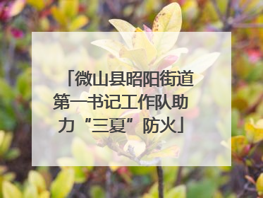 微山县昭阳街道第一书记工作队助力“三夏”防火