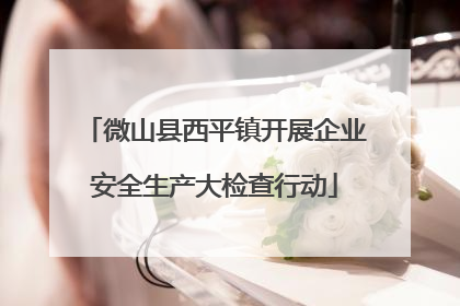 微山县西平镇开展企业安全生产大检查行动