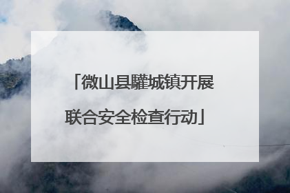 微山县驩城镇开展联合安全检查行动