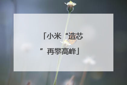 小米“造芯”再攀高峰