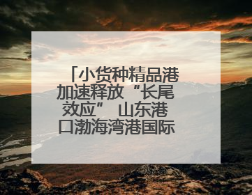 小货种精品港加速释放“长尾效应” 山东港口渤海湾港国际件杂货运业务