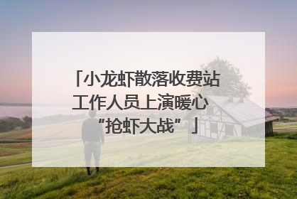 小龙虾散落收费站 工作人员上演暖心“抢虾大战”