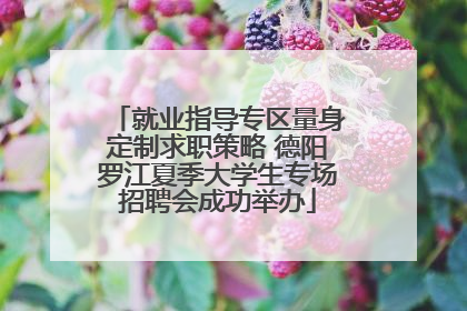 就业指导专区量身定制求职策略 德阳罗江夏季大学生专场招聘会成功举办