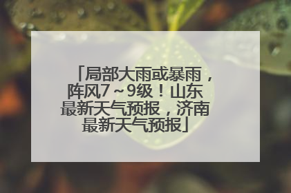局部大雨或暴雨，阵风7～9级！山东最新天气预报，济南最新天气预报