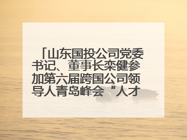 山东国投公司党委书记、董事长栾健参加第六届跨国公司领导人青岛峰会“人才引领 创新驱动”人力资源高质量发展对话会