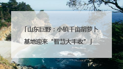 山东巨野：小镇千亩胡萝卜基地迎来“智慧大丰收”
