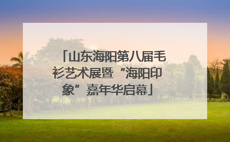 山东海阳第八届毛衫艺术展暨“海阳印象”嘉年华启幕