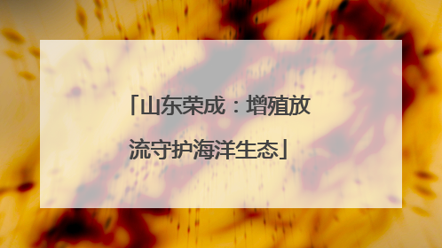 山东荣成：增殖放流守护海洋生态