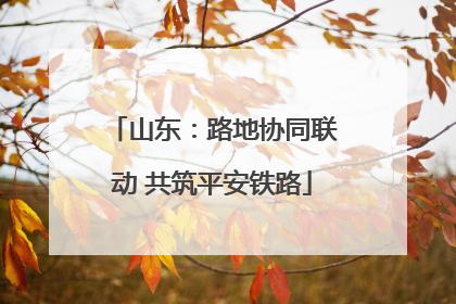 山东：路地协同联动 共筑平安铁路