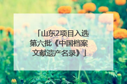 山东2项目入选第六批《中国档案文献遗产名录》