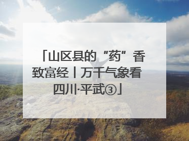 山区县的“药”香致富经丨万千气象看四川·平武③