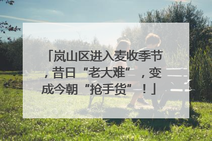 岚山区进入麦收季节，昔日“老大难”，变成今朝“抢手货”！