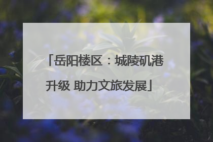 岳阳楼区：城陵矶港升级 助力文旅发展