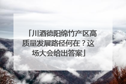 川酒德阳绵竹产区高质量发展路径何在？这场大会给出答案