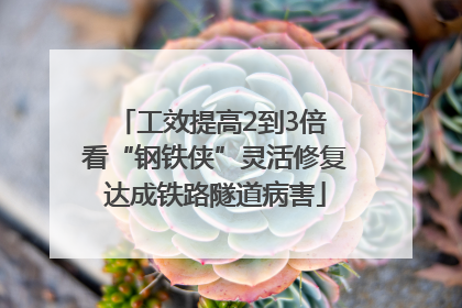 工效提高2到3倍 看“钢铁侠”灵活修复达成铁路隧道病害