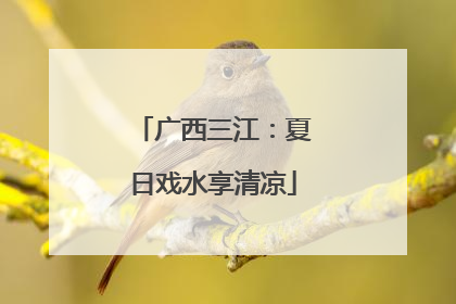 广西三江：夏日戏水享清凉