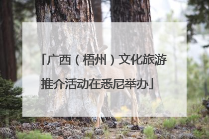 广西（梧州）文化旅游推介活动在悉尼举办