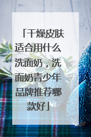 干燥皮肤适合用什么洗面奶，洗面奶青少年品牌推荐哪款好