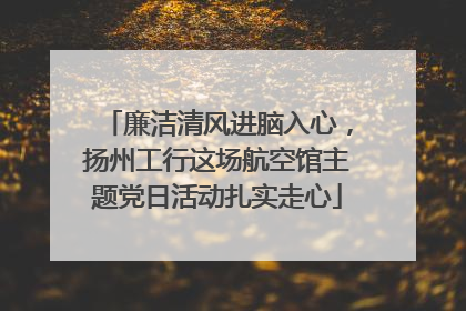 廉洁清风进脑入心，扬州工行这场航空馆主题党日活动扎实走心