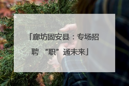 廊坊固安县：专场招聘 “职”通未来