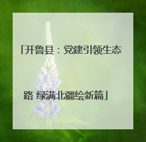开鲁县：党建引领生态路 绿满北疆绘新篇