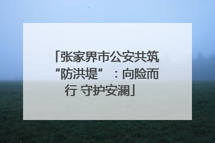 张家界市公安共筑“防洪堤”：向险而行 守护安澜