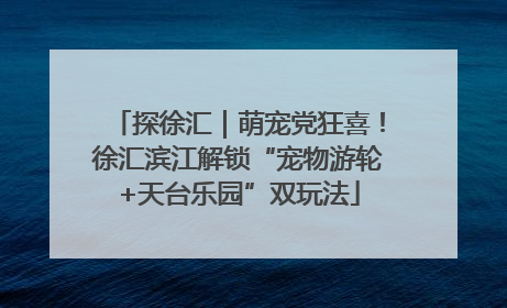 探徐汇｜萌宠党狂喜！徐汇滨江解锁“宠物游轮+天台乐园”双玩法