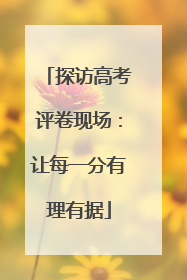 探访高考评卷现场：让每一分有理有据