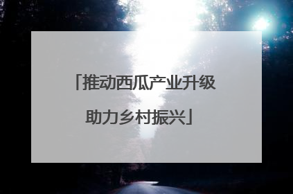 推动西瓜产业升级 助力乡村振兴