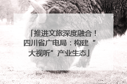 推进文旅深度融合！四川省广电局：构建“大视听”产业生态