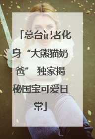 总台记者化身“大熊猫奶爸” 独家揭秘国宝可爱日常