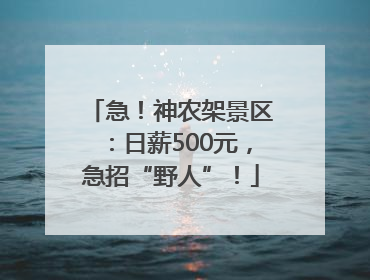 急！神农架景区：日薪500元，急招“野人”！