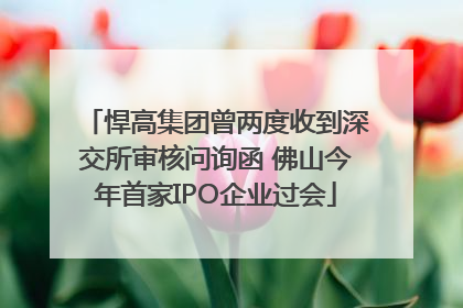悍高集团曾两度收到深交所审核问询函 佛山今年首家IPO企业过会
