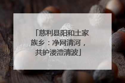 慈利县阳和土家族乡：净网清河，共护溇澧清波
